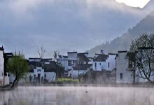 如何避免茶叶涩口技巧分享(如何让茶叶不涩)